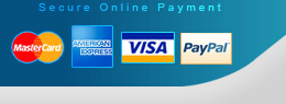 Secure Online Payment